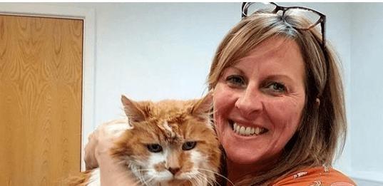 貓咪撓人腳心_貓咪三歲半相當(dāng)于人幾歲_貓咪撲人是什么意思