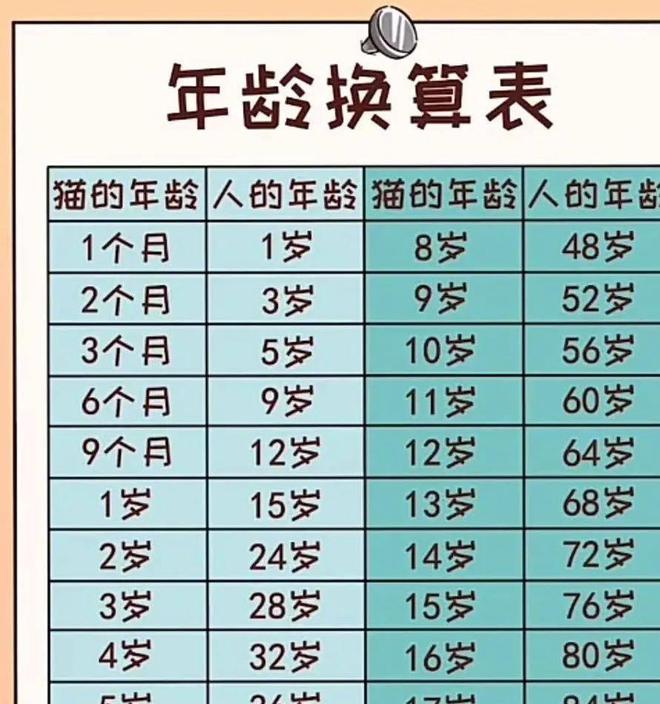 貓咪撓人腳心_貓咪三歲半相當(dāng)于人幾歲_貓咪撲人是什么意思